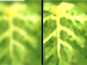 Giants High Resolution Texture - knosso#2919